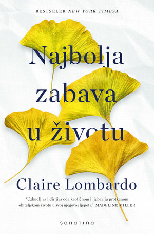 Book najbolja zabava   omot