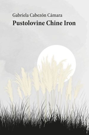 Book naslovnica pustolovine chine iron