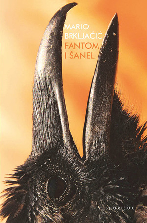 Book fantom i sanel web1 450x650