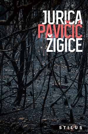 Book zigice 346x553 1
