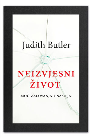 Book butler neizvjesni zivot
