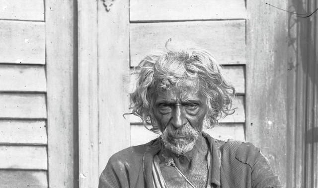 Large glavna ilistracija